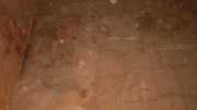 DSCN5984