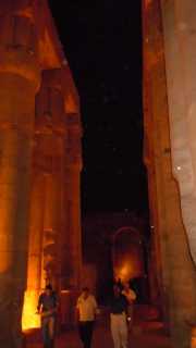 DSCN5986
