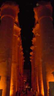 DSCN5990