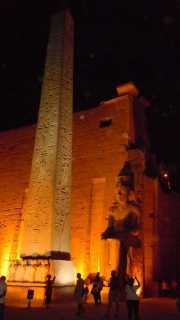 DSCN6005