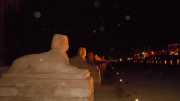 DSCN6008