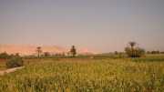 DSCN6069