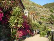 MONTE_ROSSO_11_05-29