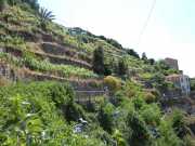 MONTE_ROSSO_11_05-8
