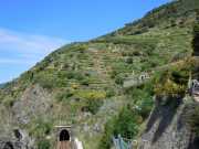 MONTE_ROSSO_11_05-9