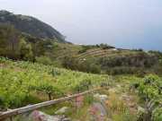 RIOMAGIORRE-3