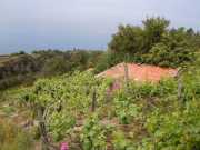 RIOMAGIORRE-4
