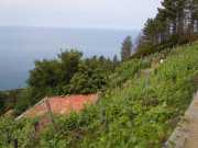 RIOMAGIORRE-5