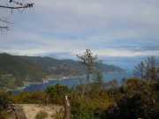 LEVANTO_11_05-7