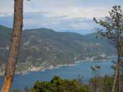 LEVANTO_11_05-9