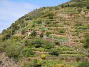 MONTE_ROSSO_11_05-10