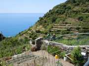 MONTE_ROSSO_11_05-13