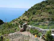 MONTE_ROSSO_11_05-14