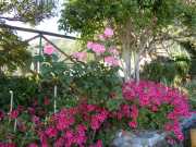 MONTE_ROSSO_11_05-24