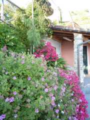 MONTE_ROSSO_11_05-26