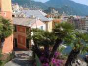CAMOGLI_11_05-12