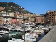 CAMOGLI_11_05-16