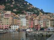 CAMOGLI_11_05-17