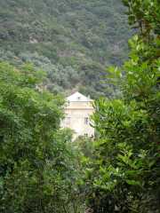 CAMOGLI_11_05-22