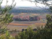 CONGENIES_11_11-26