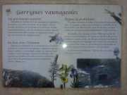 CONGENIES_11_11-47
