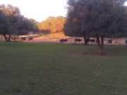 CONGENIES_11_11-80