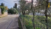 Congenies_23_12-1