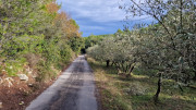 Congenies_23_12-11