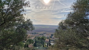 Congenies_23_12-30