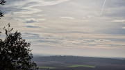 Congenies_23_12-31