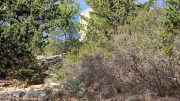 Congenies_23_12-35