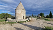 Congenies_23_12-46