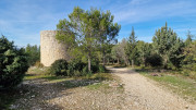 Congenies_23_12-47