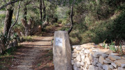 Congenies_23_12-49