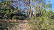 Congenies_23_12-53