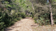 Congenies_23_12-54