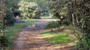 Congenies_23_12-55