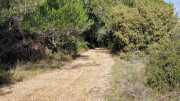 Congenies_23_12-57