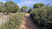 Congenies_23_12-67