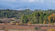 Congenies_23_12-76