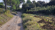 Congenies_23_12-78