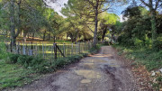 Congenies_23_12-82