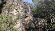 Congenies_23_12-88
