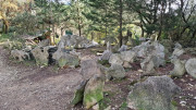 Congenies_23_12-91