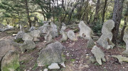 Congenies_23_12-92