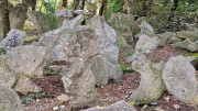 Congenies_23_12-93