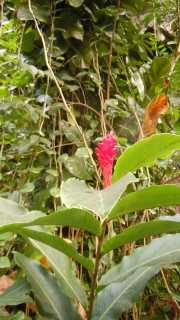 DSCN6468