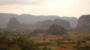 DSCN6513