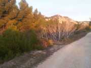 BAUX_12_01-86