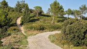Baux_1_24_10-204